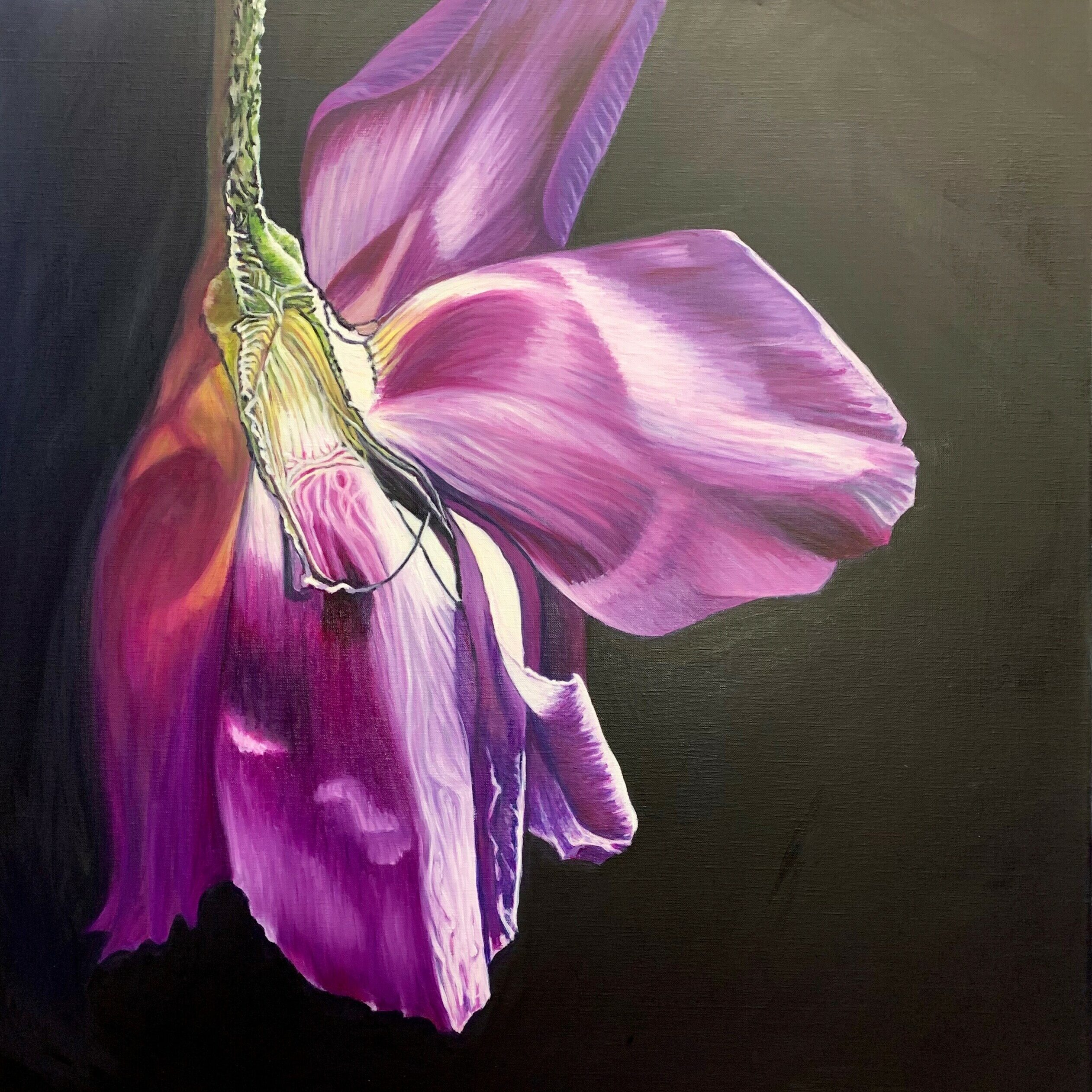 Violett auf Atrament/Violett – verwelkte Schönheit Öl/LW 80 x 80 cm